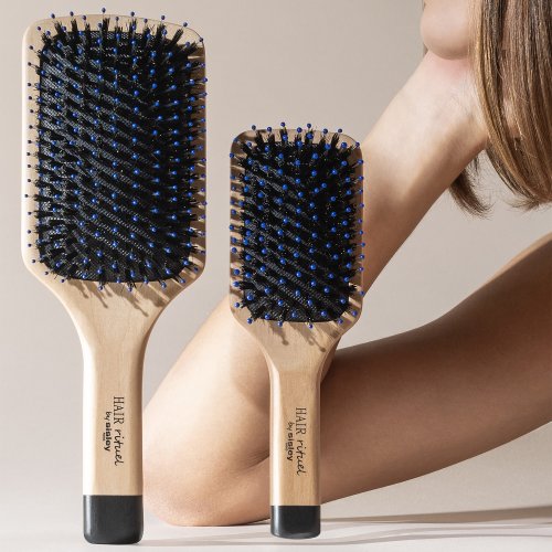 SISLEY La Brosse de Poche Brillance & Douceur 3473311690401 SISLEY La Brosse de Poche Brillance & Douceur 3473311690401